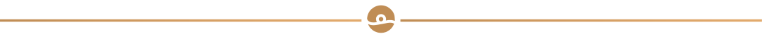 21229_8vka_1380.png